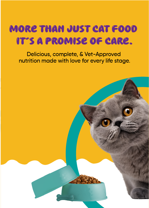 Mobile Banner